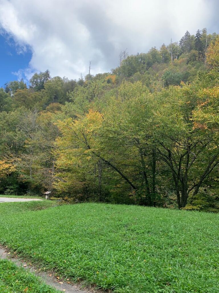 Smoky Mountain fall foliage