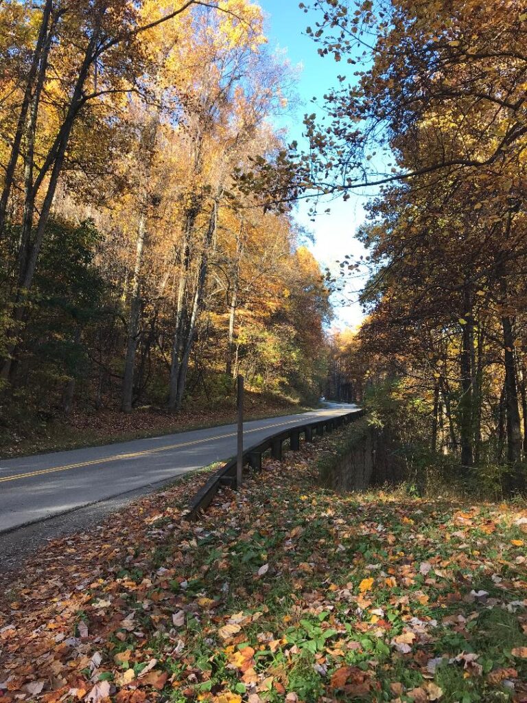 Smoky Mountain fall foliage